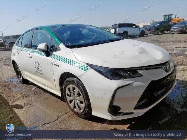 Auction photo