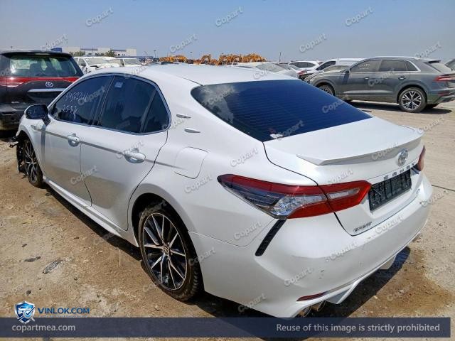 Auction photo