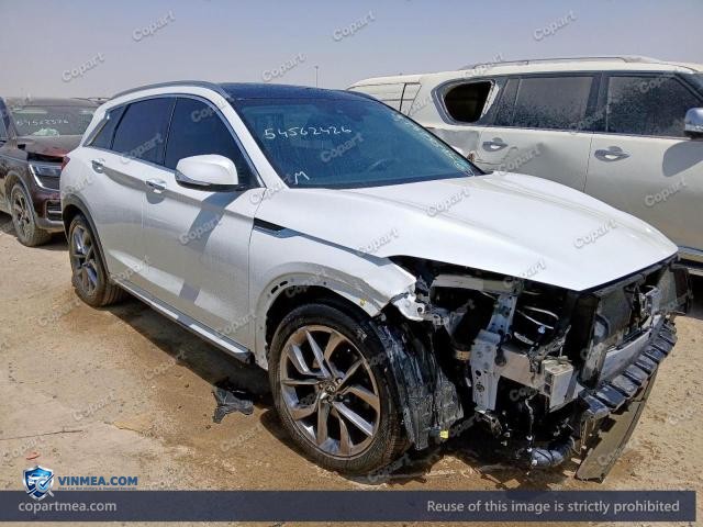 2024 INFI QX50 — Lot 54562426 auction photo
