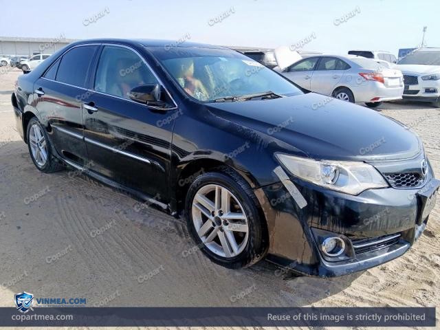 Auction photo