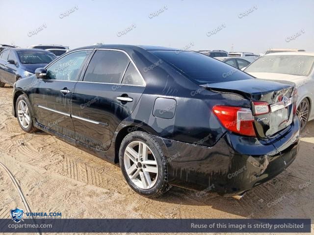 Auction photo