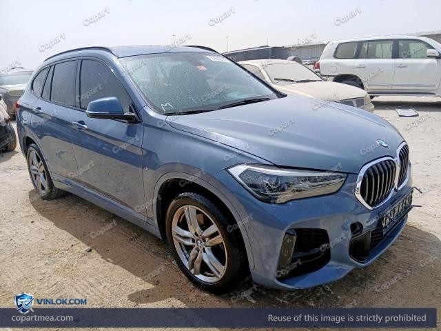 Auction photo