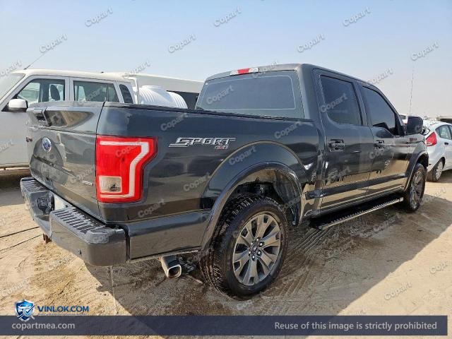 Auction photo