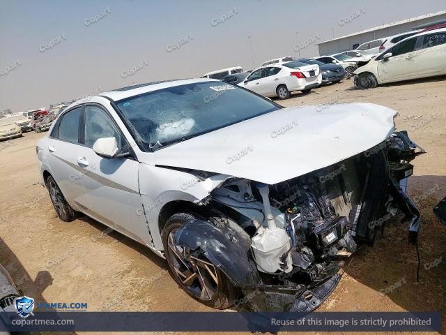 Auction photo