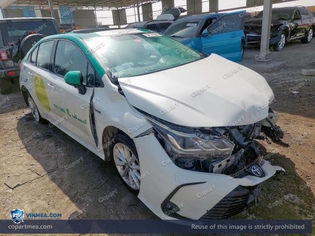 Auction photo