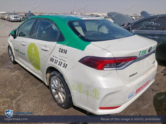 Auction photo