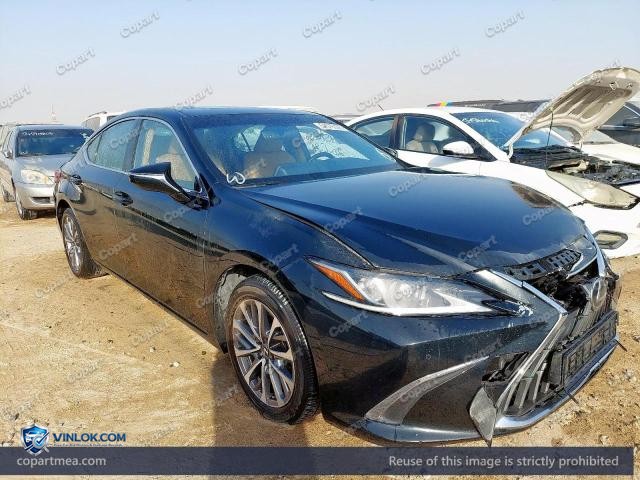 2023 LEXUS ES300H — Lot 54576336 auction photo