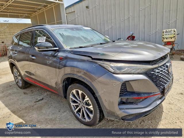 2023 CHAN CS75 — Lot 54578236 auction photo