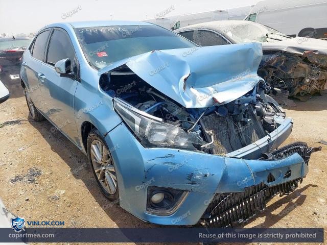Auction photo