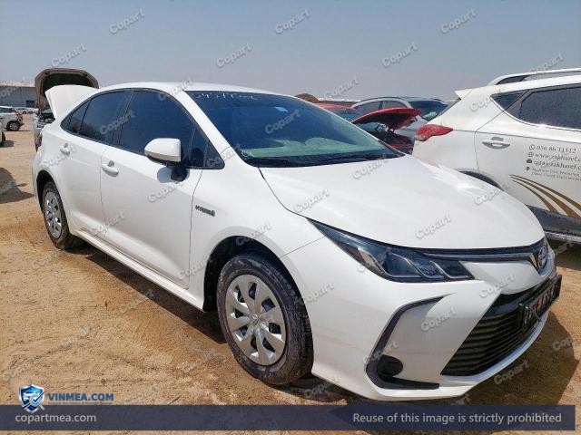 Auction photo