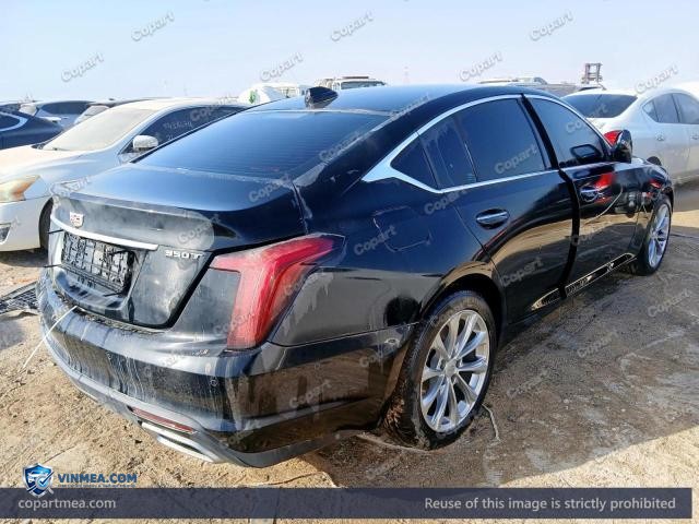 Auction photo
