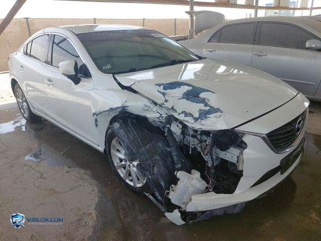 Auction photo