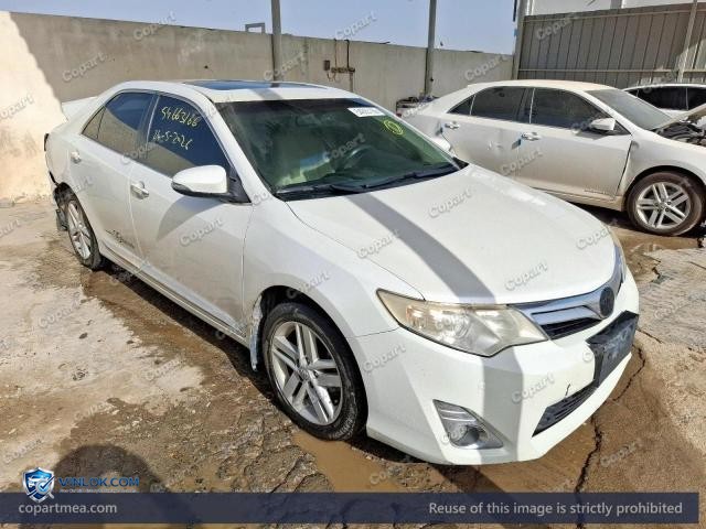 Auction photo