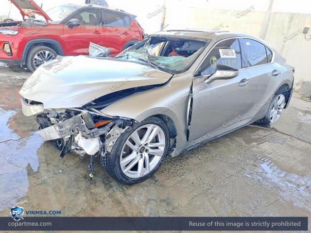 Auction photo