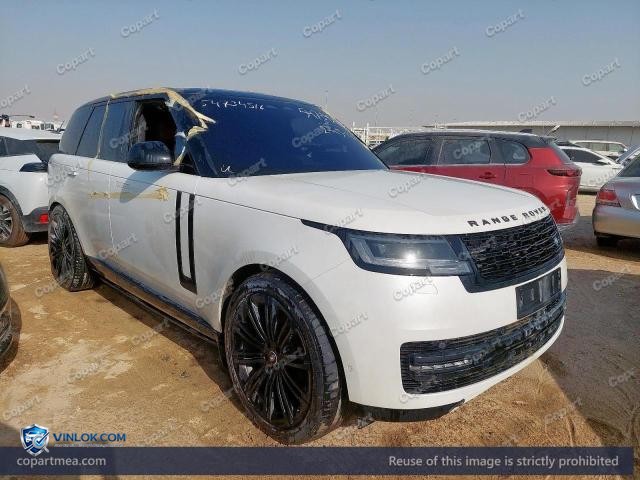 Auction photo