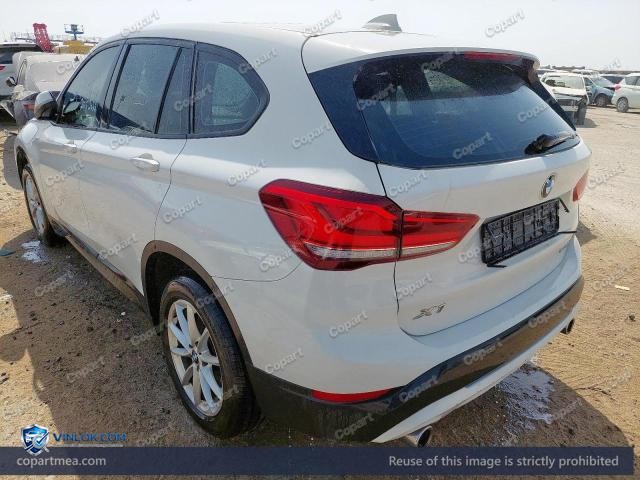 Auction photo