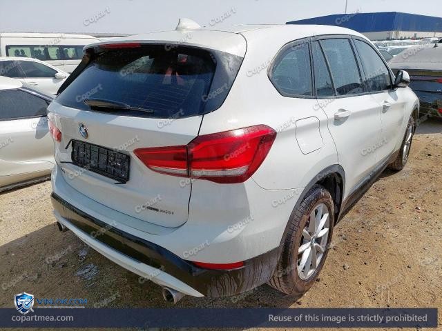 Auction photo