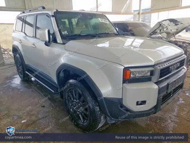 Auction photo