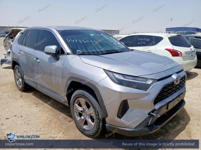 Auction photo