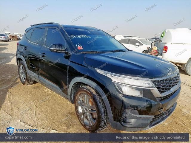 Auction photo