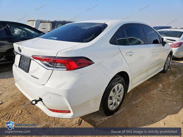 Auction photo