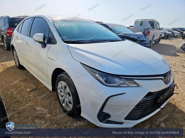 Auction photo