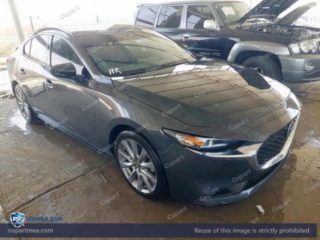 Auction photo