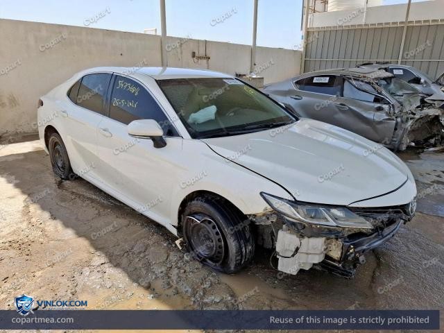 Auction photo
