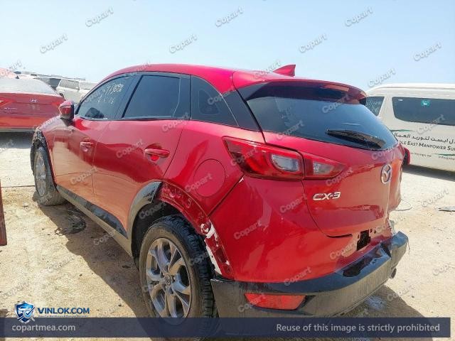 Auction photo