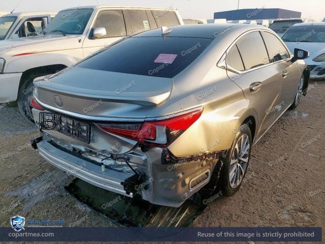 Auction photo