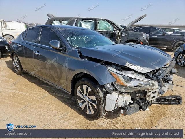 Auction photo