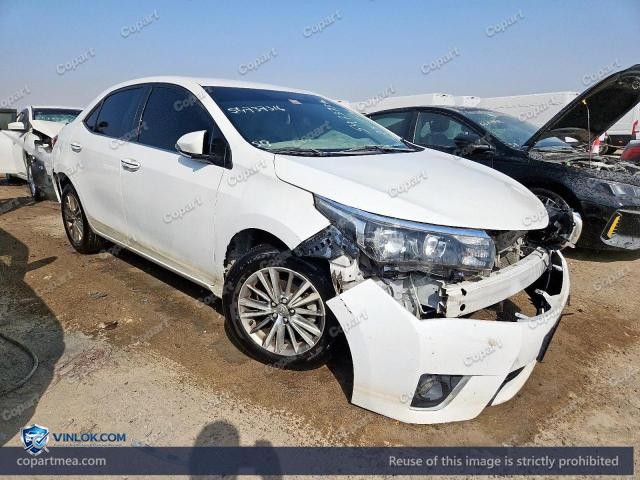 Auction photo