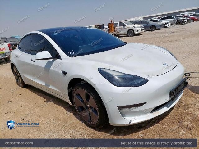 2023 TESL MODEL — Lot 54739676 auction photo