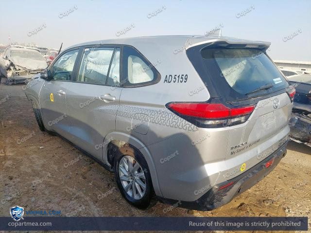 Auction photo