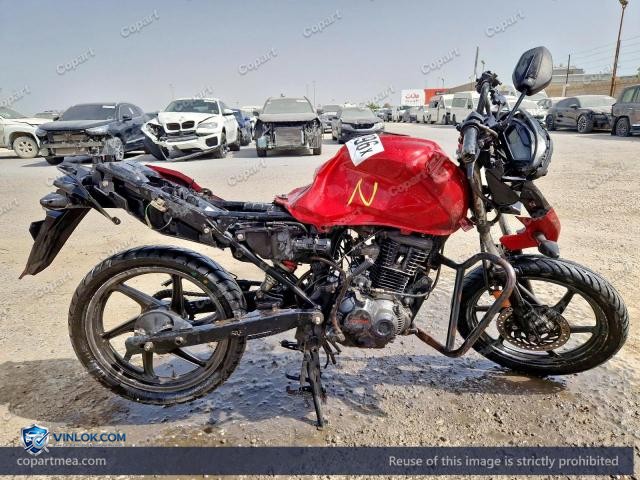 Auction photo
