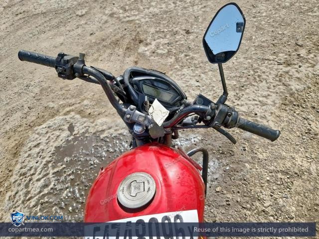Auction photo