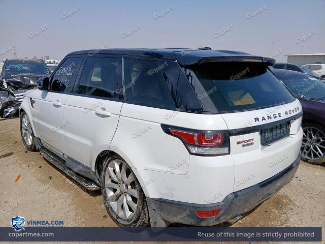 Auction photo
