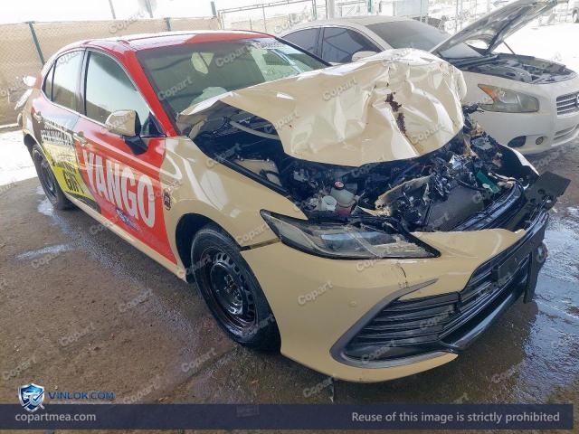 Auction photo
