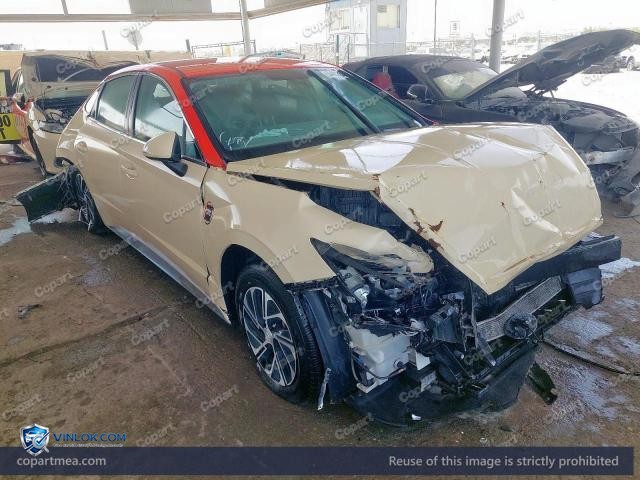 Auction photo