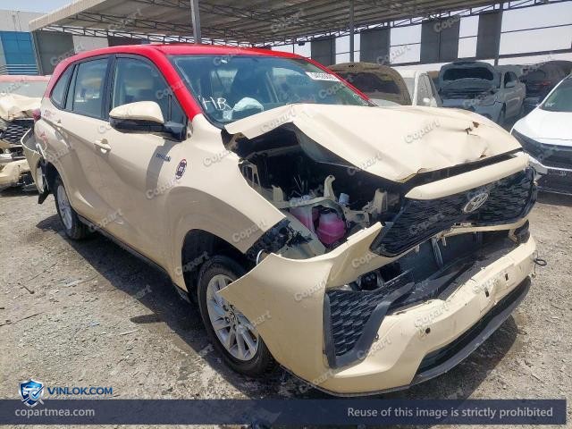 Auction photo