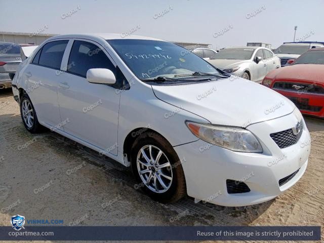 Auction photo