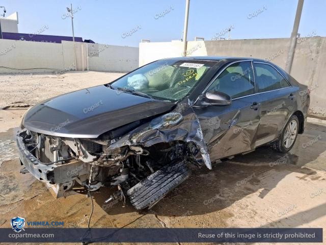Auction photo