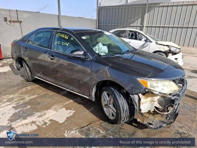 Auction photo