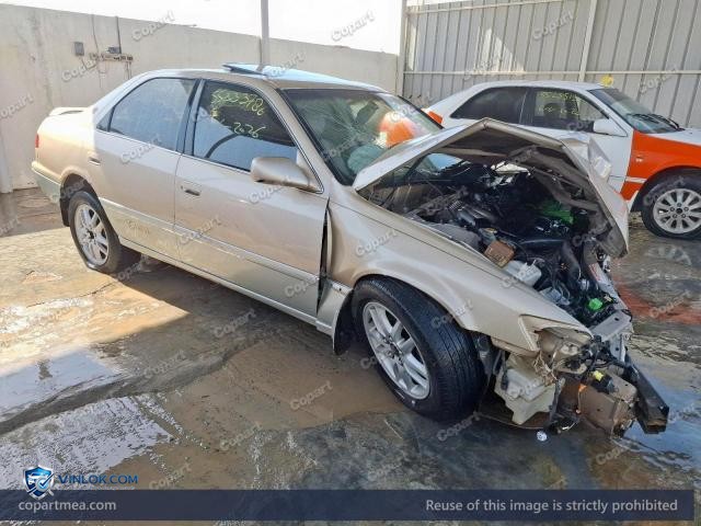 Auction photo