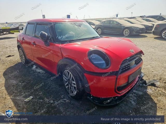 Auction photo