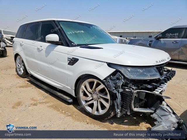 Auction photo