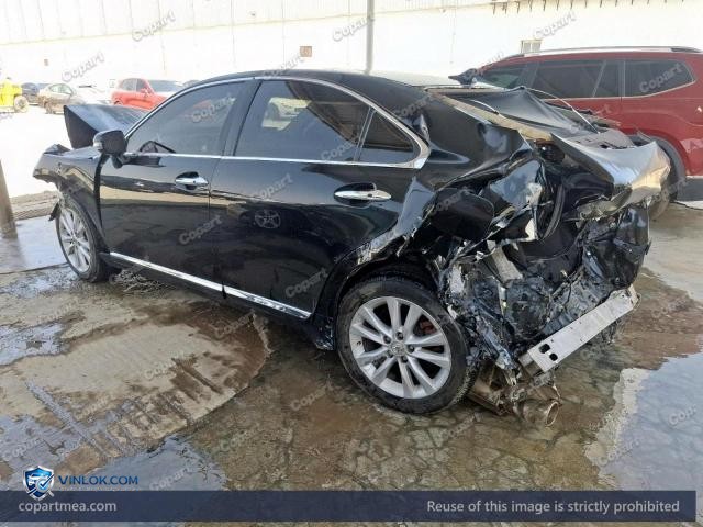 Auction photo
