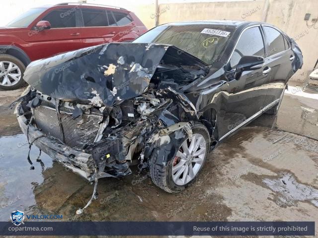 Auction photo