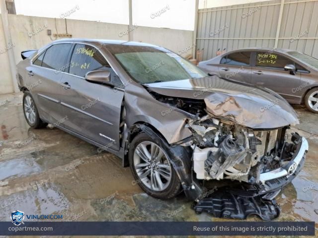 Auction photo