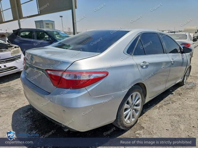 Auction photo